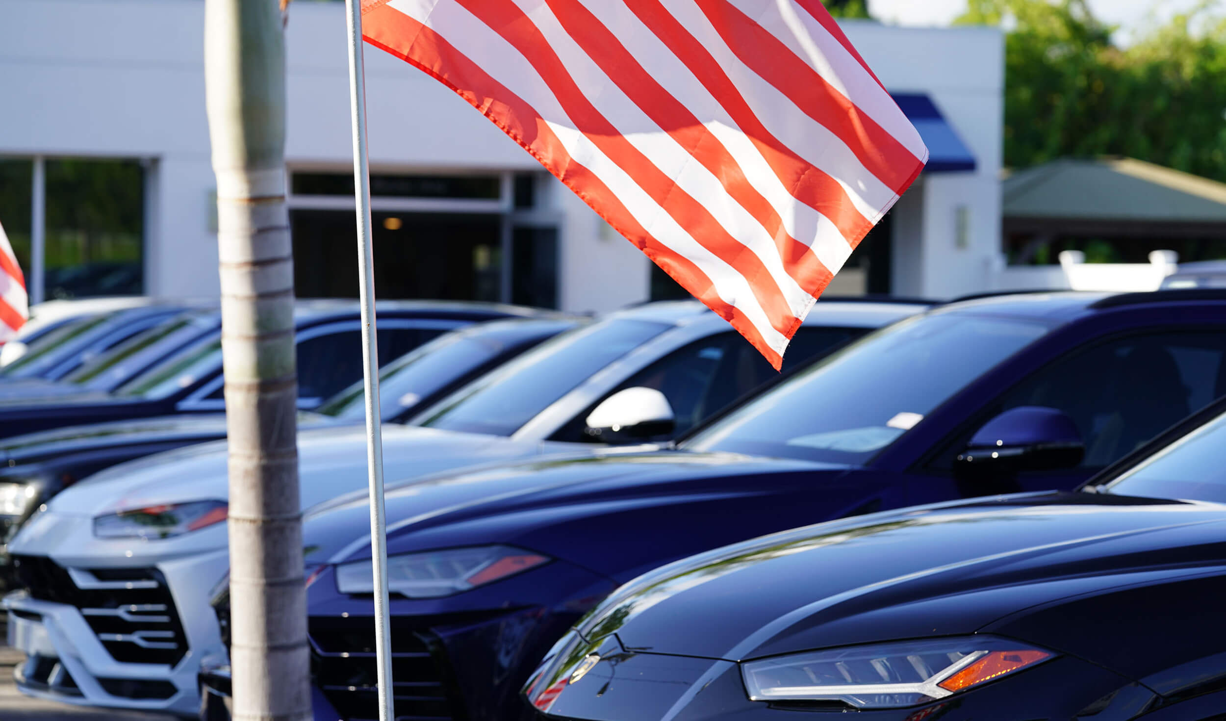 Exterior image of Palm Beach Auto Group dealership: closeup of flag with line of cars as background.